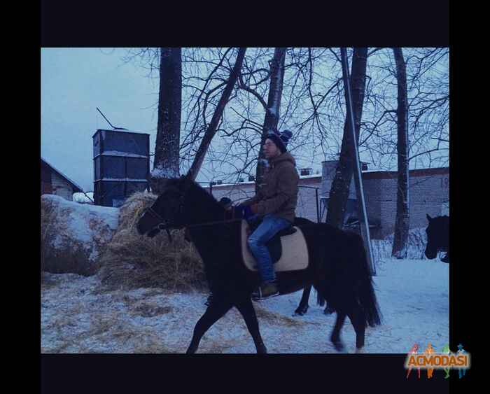 Владимир  Игоревич фото №870137. Загружено 06 Июня 2015