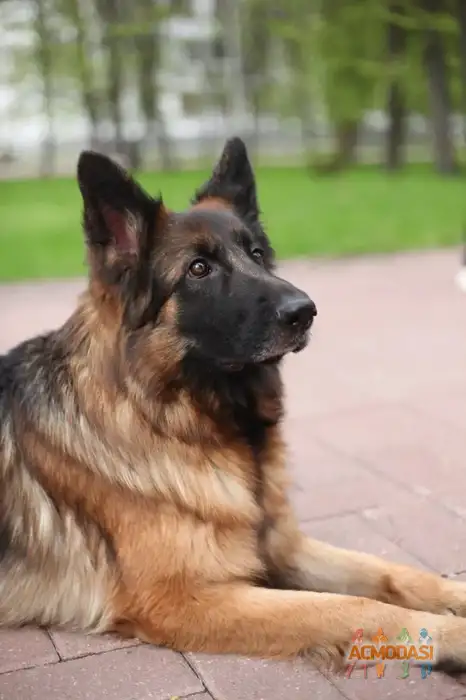 Ver  Rep фото №1937188. Загружено 24 Сентября 2025