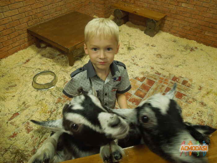 Павлоградский Савелий Ильич фото №1024594. Загружено 14 Апреля 2016