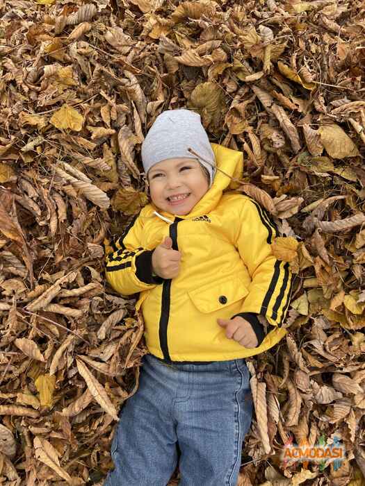 Полина Ильинична Шкляева фото №1539443. Загружено 14 Ноября 2019