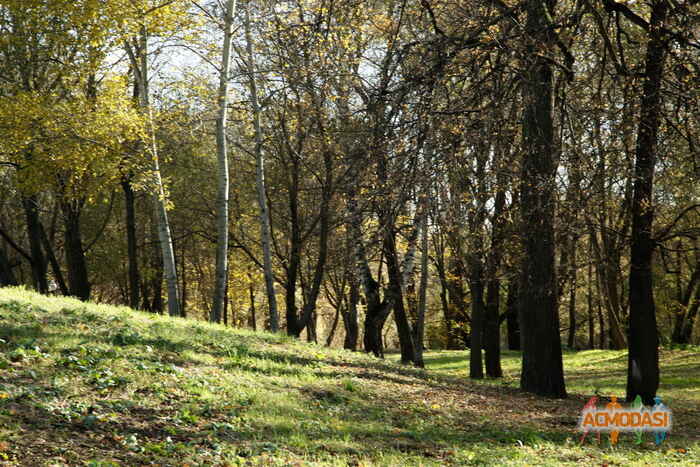 Дина Ананьевна Дычек фото №548459. Загружено 07 Декабря 2013