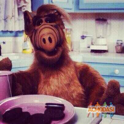 Анастасия Владимировна Ропкас фото №1539617. Загружено 15 Ноября 2019