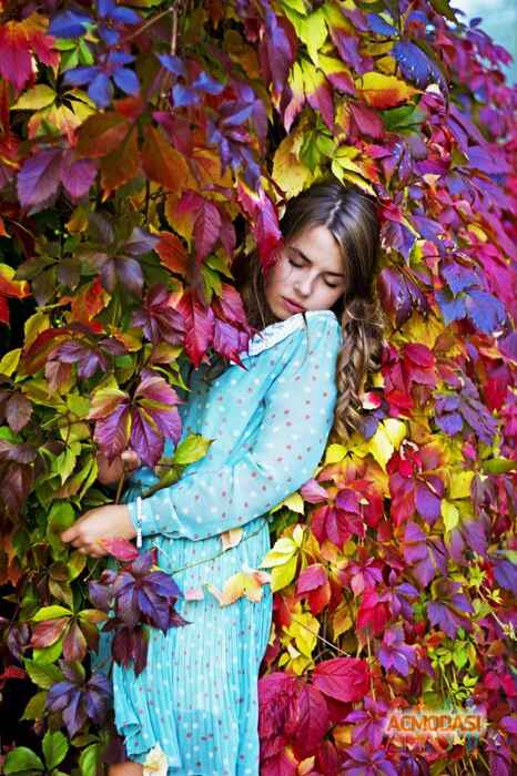 Юлия  Лисой фото №301475. Загружено 02 Декабря 2012