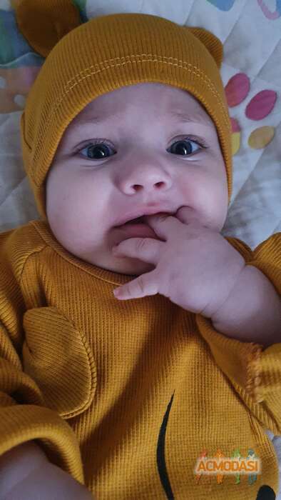 Акоп  Аракелян фото №1858870. Загружено 26 Июня 2023