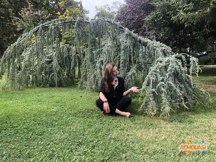 Ксения Сергеевна Коврижных фото №1526156. Загружено 15 Октября 2019