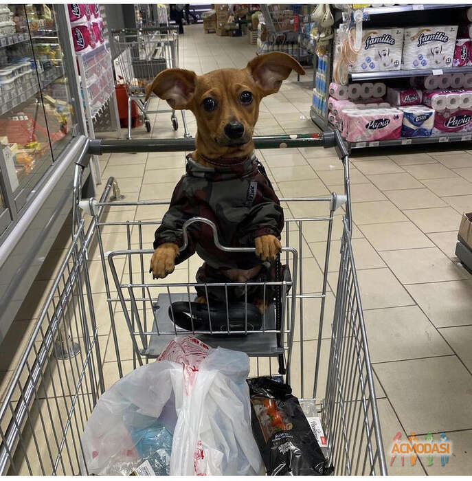 Ольга  Вангулова фото №1841534. Загружено 08 Февраля 2023