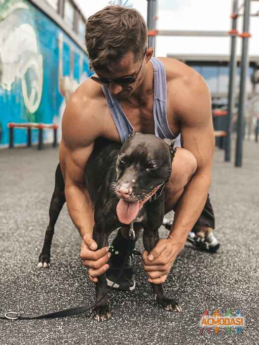 Сергей Павлович Швец фото №1522351. Загружено 08 Октября 2019