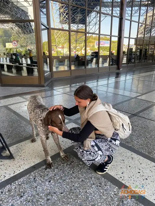 Виктория  Саенко фото №1936296. Загружено 15 Сентября 2025