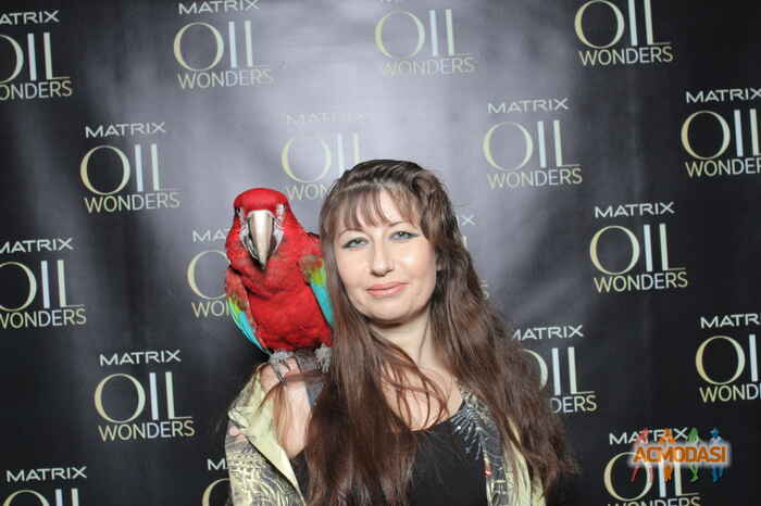 Анжелла Юрьевна Волохвянская фото №943719. Загружено 23 Октября 2015