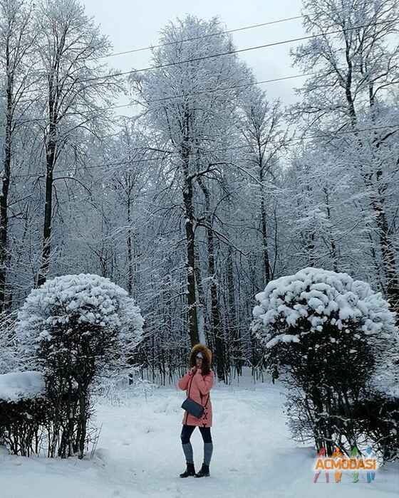 Оксана Викторовна Миронова фото №1430358. Загружено 01 Марта 2019