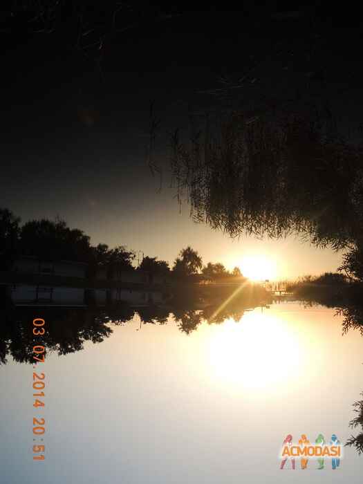 Маргарита   фото №814242. Загружено 04 Февраля 2015