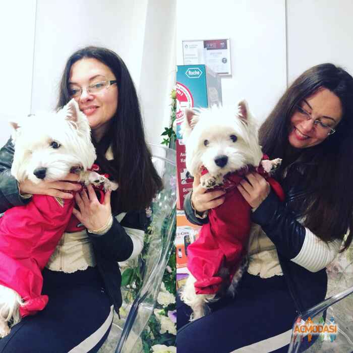 витта Генриховна Малинка фото №1144009. Загружено 07 Февраля 2017