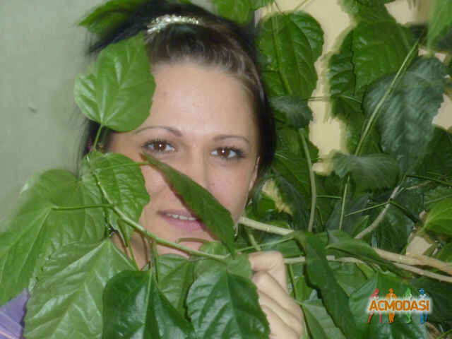 Соколова Анастасия Александровна фото №325273. Загружено 13 Января 2013