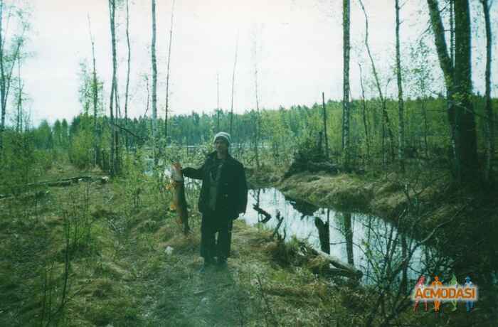 Алексей Александрович Солоев фото №1151410. Загружено 26 Февраля 2017