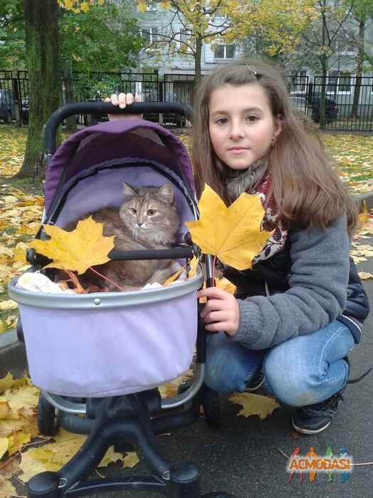 Владимира Сергеевна  фото №1140670. Загружено 30 Января 2017