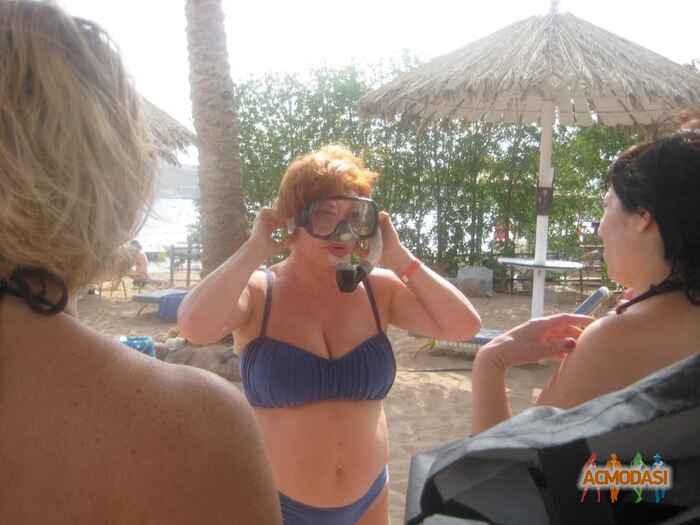 Наталья   фото №724003. Загружено 03 Сентября 2014