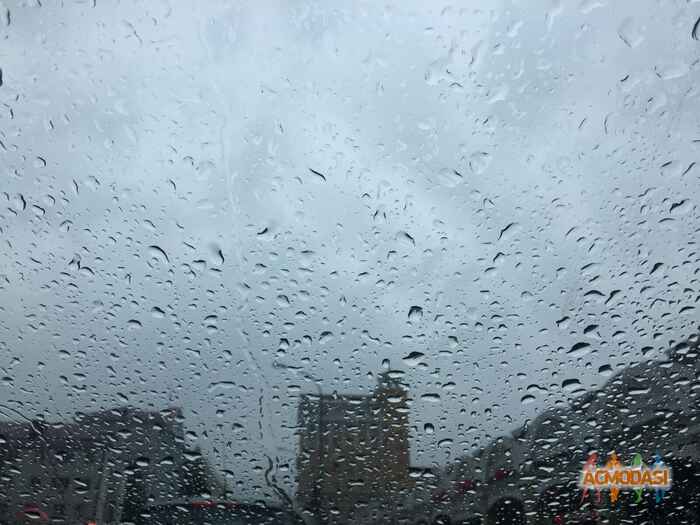 Алена Алексеевна Никонорова фото №1471135. Загружено 08 Июня 2019