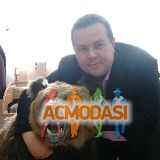 Денис Владимирович Фомичев фото №1402586. Загружено 10 Декабря 2018