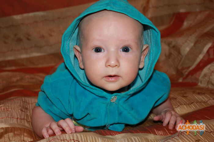 Геннадий  Шамин фото №217354. Загружено 28 Июня 2012