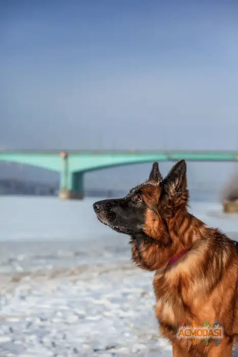 Ver  Rep фото №1937190. Загружено 24 Сентября 2025