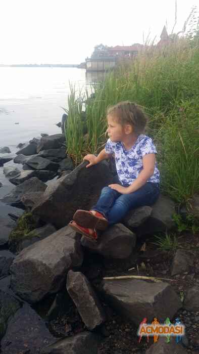 Влада   фото №1076423. Загружено 25 Августа 2016