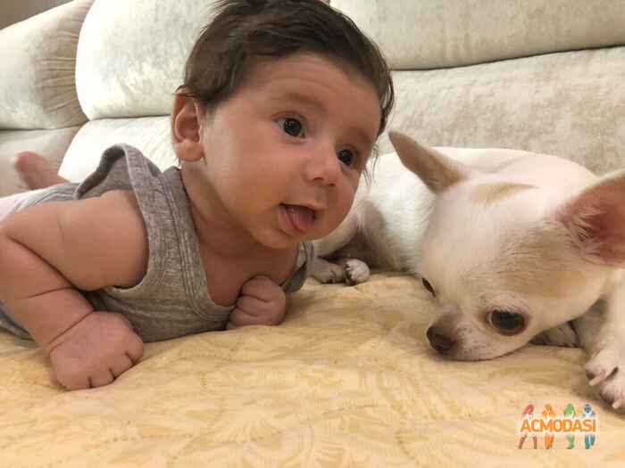 Натаниэль   фото №1542531. Загружено 22 Ноября 2019