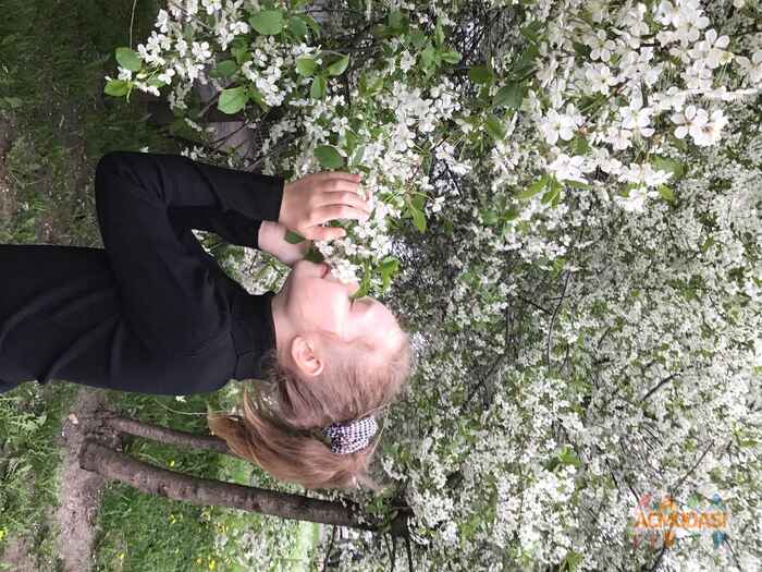 Елизавета  Бурсакова фото №1678804. Загружено 30 Января 2021