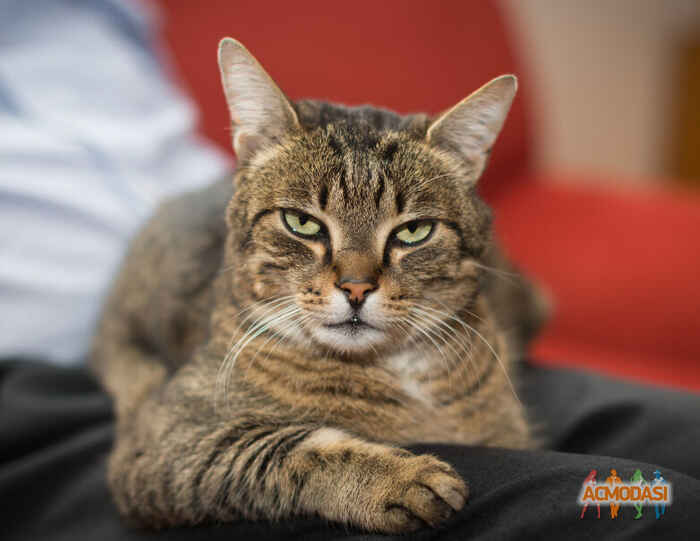 Дима   фото №1503883. Загружено 26 Августа 2019