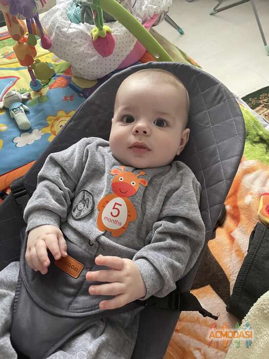 Маркус   фото №1834466. Загружено 23 Декабря 2022