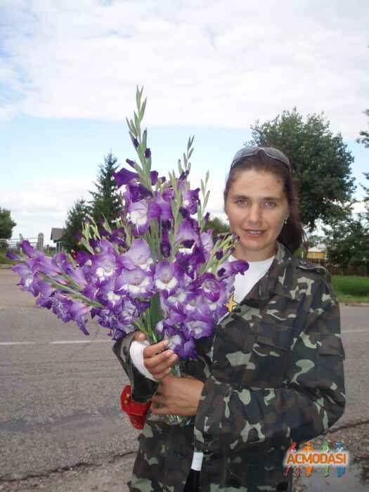 Анатолій  Голубовський фото №667790. Загружено 10 Июня 2014