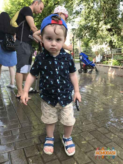 Родион   фото №1524370. Загружено 11 Октября 2019