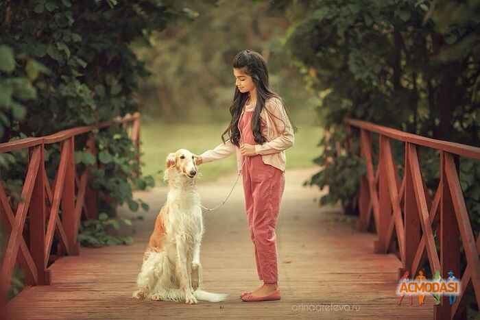 Nelly  Pogosyan фото №1620096. Загружено 17 Июля 2020
