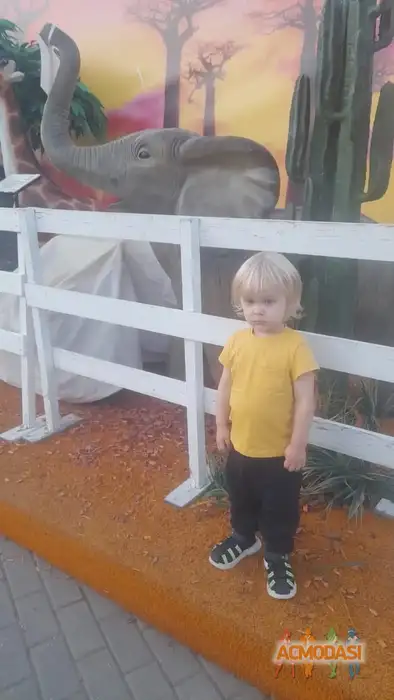 Добрыня Русский Богатырь Актёр кино, модель фото №1940336. Загружено 03 Ноября 2025