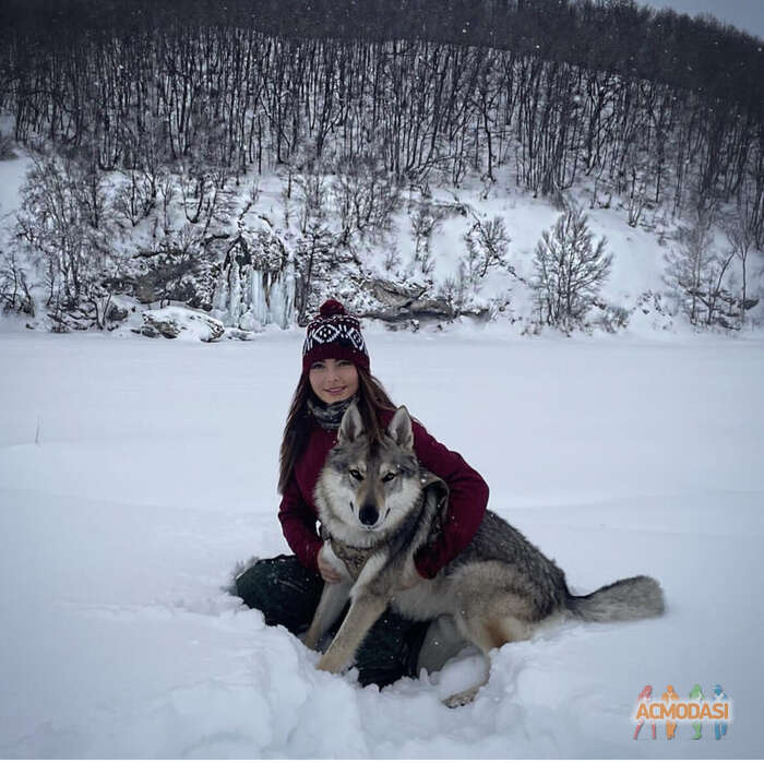 Карина Карина Карина фото №1855462. Загружено 22 Мая 2023