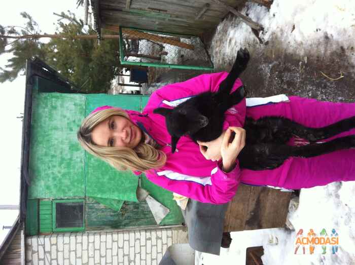 Андрей Владимирович Одоевский фото №835035. Загружено 16 Марта 2015