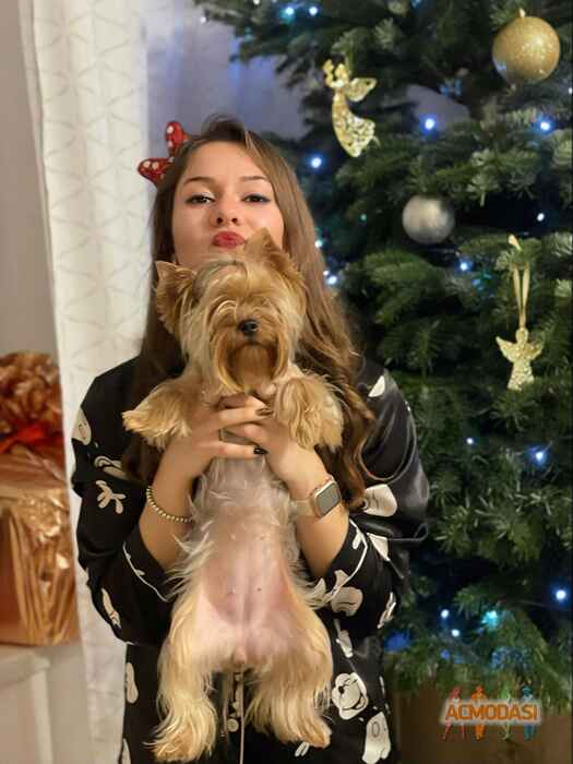 Алена  Сосновская фото №1670852. Загружено 04 Января 2021