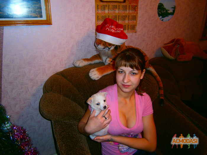 татьяна  селиванова фото №152268. Загружено 20 Февраля 2012