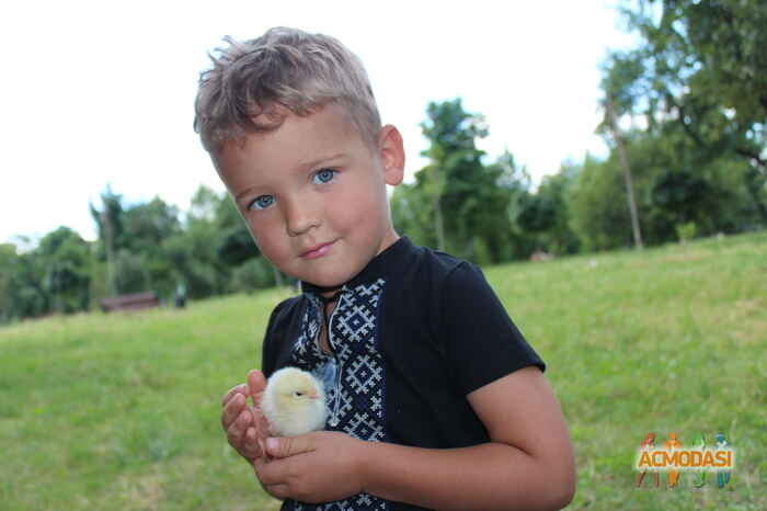 Святослав Владиславович Хахулин фото №686602. Загружено 08 Июля 2014