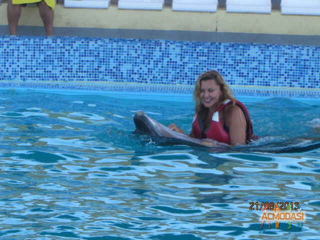 Татьяна Петровна Малий фото №583477. Загружено 29 Января 2014