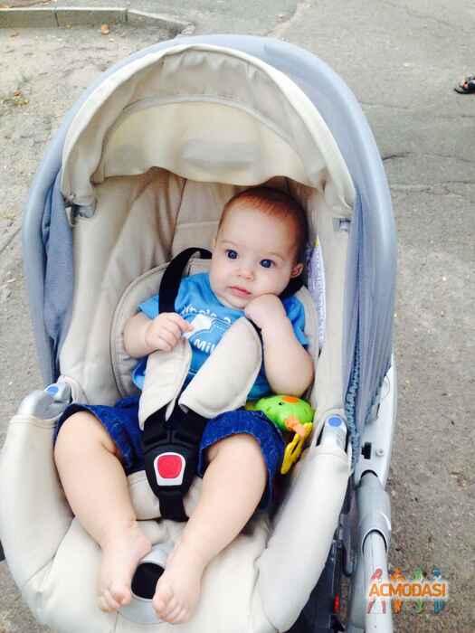 Oscar   фото №906765. Загружено 16 Августа 2015