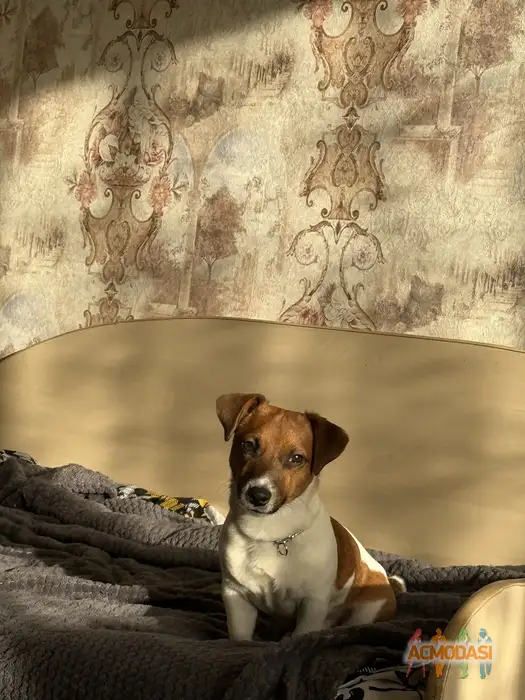 Ирина  Бочковская фото №1945542. Загружено 16 Января 2026