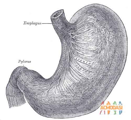 Абрам Авивович Мойшин фото №681401. Загружено 30 Июня 2014