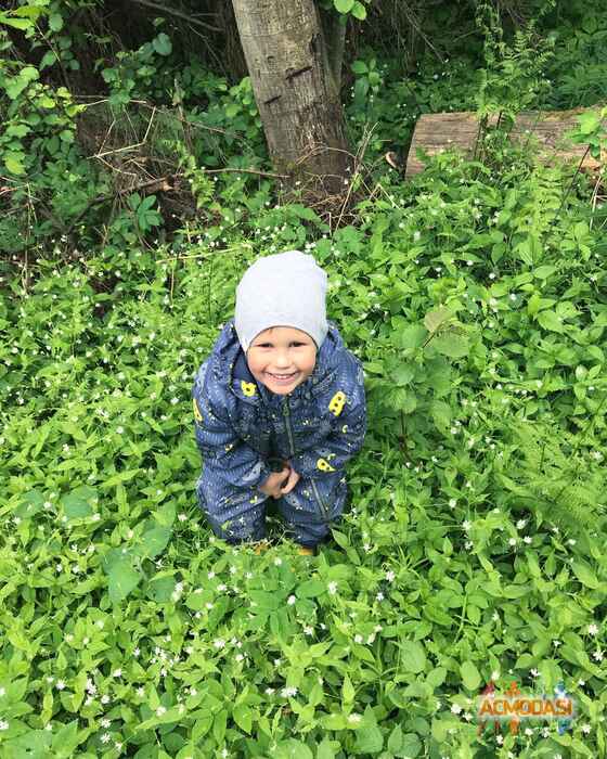 Лев Максимович  фото №1356937. Загружено 10 Августа 2018