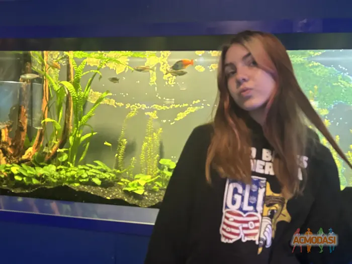 Алиса  Курлова фото №1935196. Загружено 30 Августа 2025