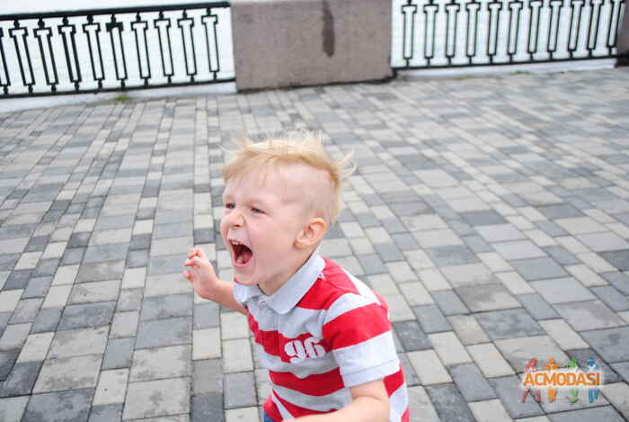 Илия   фото №646037. Загружено 02 Мая 2014