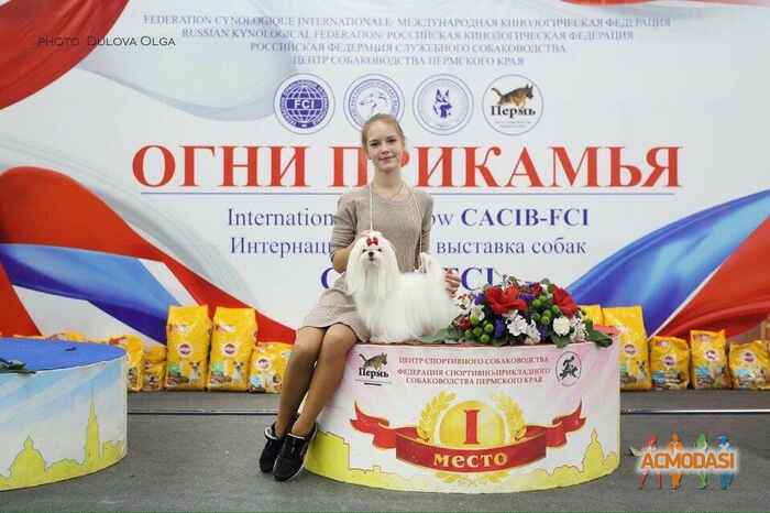 Анна Андреевна Сунцова фото №1268932. Загружено 02 Января 2018