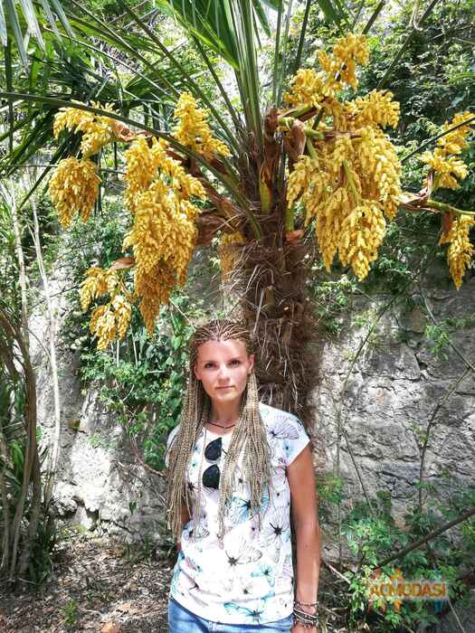 Мария   фото №1719227. Загружено 29 Июня 2021