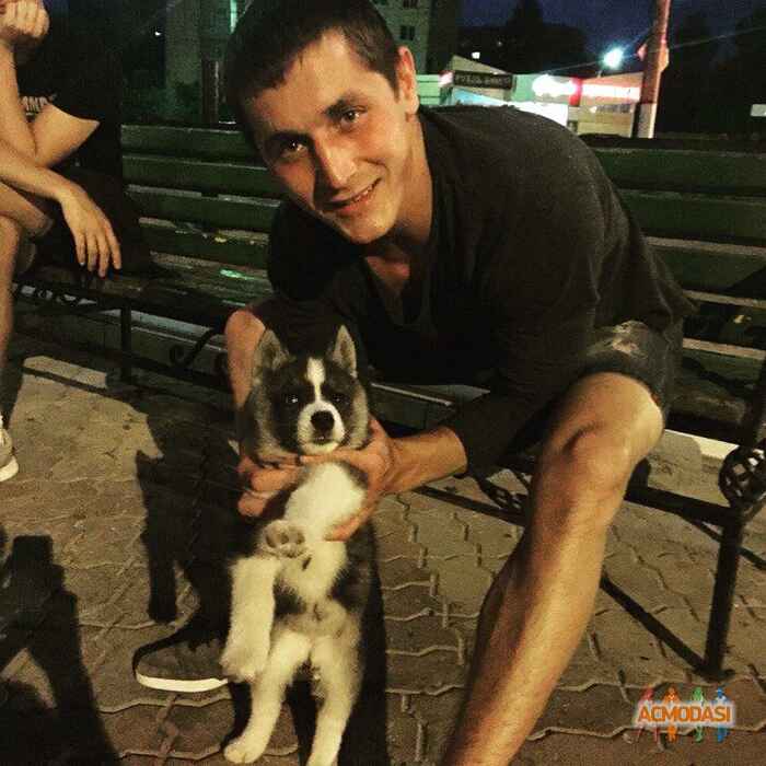 Владимир Александрович Арсентьев фото №1101081. Загружено 24 Октября 2016