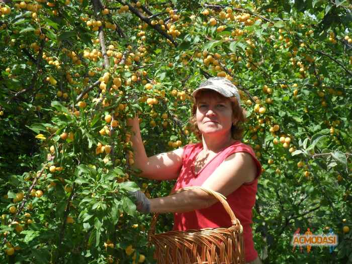 Виктория  Арнольдовна фото №621294. Загружено 24 Марта 2014