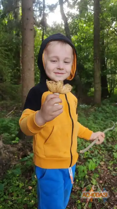 Добрыня Русский Богатырь Актёр кино, модель фото №1940273. Загружено 03 Ноября 2025